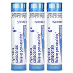 Boiron, Hydrastis Meltaway Pellets , 3 Tubes, 80 Pellets Each