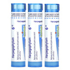 Boiron, Harpagophytum Meltaway Pellets, 3 Tubes, 80 Pellets Each