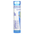 Boiron, Eupatorium Perfoliatum, 30C, Bodily Ache Relief, Approx 80 Pellets
