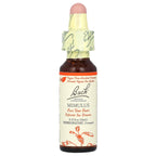 Bach, Original Flower Remedies, Mimulus, 0.35 fl oz (10 ml)