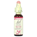 Bach, Original Flower Remedies, Willow, 0.35 fl oz (10 ml)