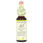 Bach, Original Flower Remedies, Chestnut Bud, 0.35 fl oz (10 ml)