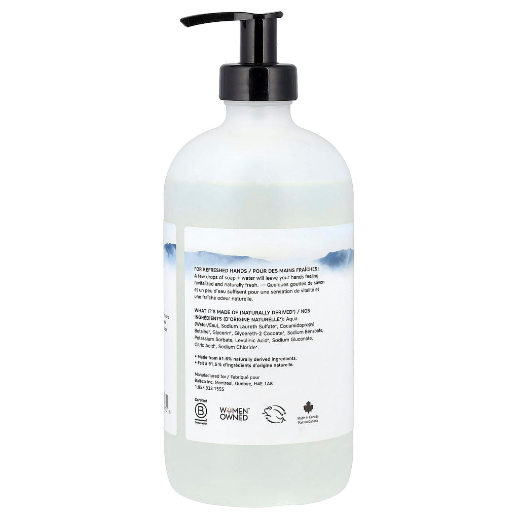 The Unscented Company, Hand Soap, Fragrance Free, 16.9 fl oz (500 ml)