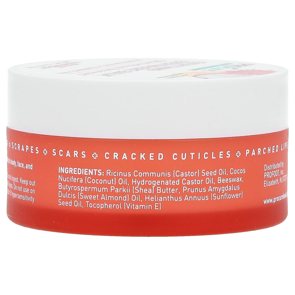 Procure, Everything Everywhere Balm, Fragrance-Free, 1.23 oz (35 g)