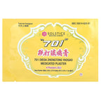 701 DIEDA ZHENTONG YAOGAO, Medicated Plaster, 40 Plasters