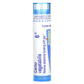 Boiron, Carbo Vegetabilis, 6C, Bloat & Gas Relief, Approx 80 Pellets