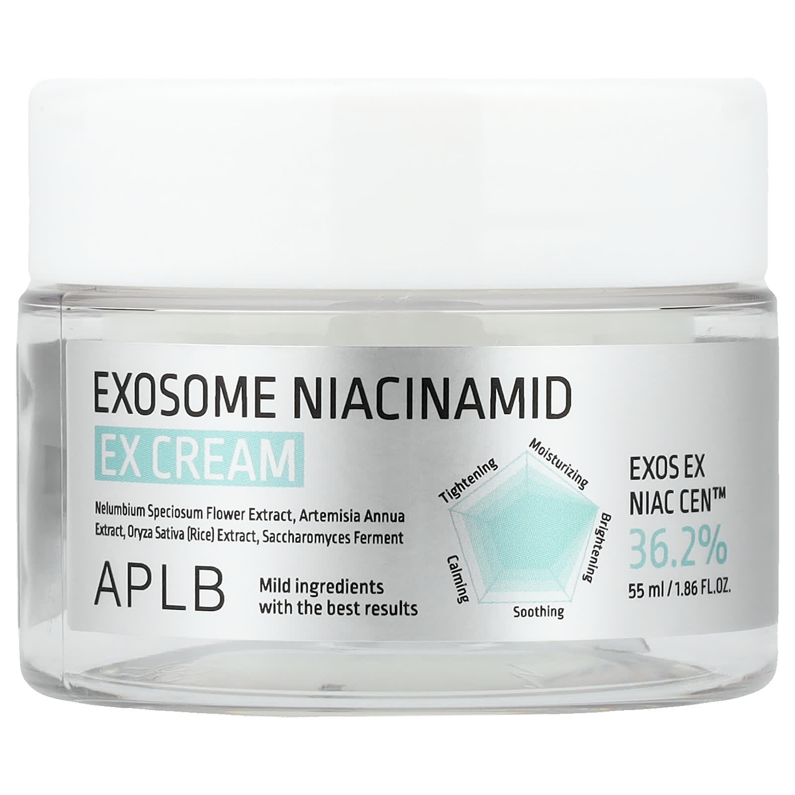 APLB, Exosome Niacinamide EX Cream, 1.86 fl oz (55 ml)