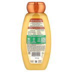 Garnier, Whole Blends, Honey Treasures, Repairing Shampoo, Dry, Damaged Hair, 12.5 fl oz (370 ml)
