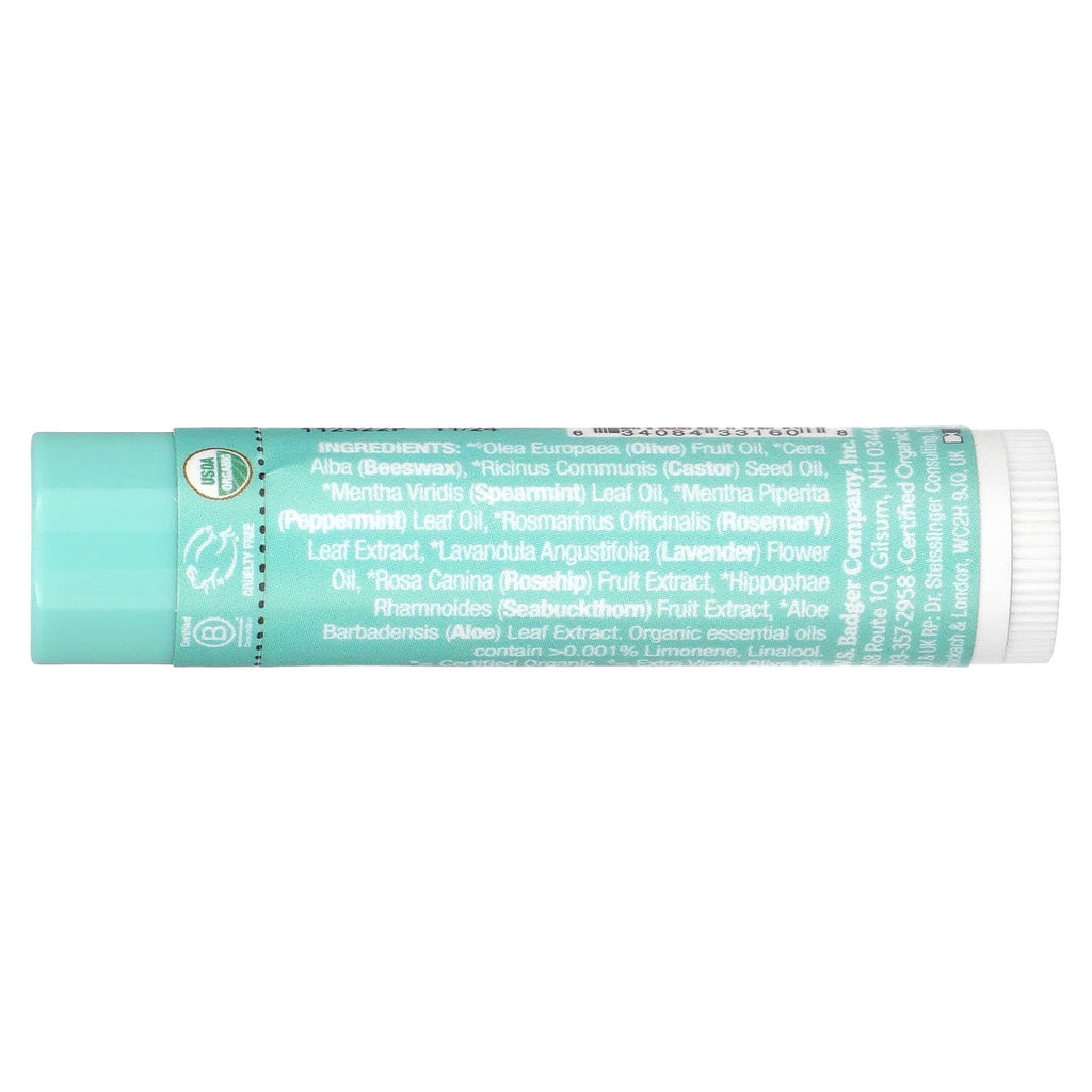 Badger, Lip Balm, Highland Mint, 0.15 oz (4.2 g)