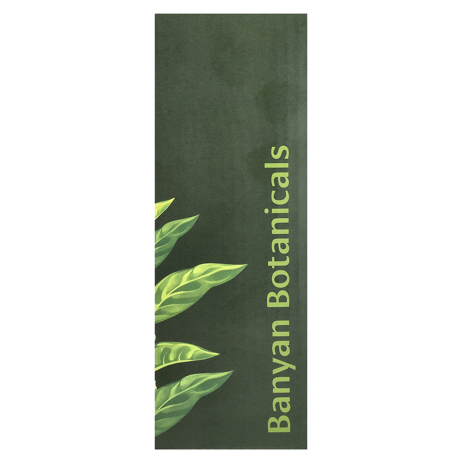 Banyan Botanicals, Daily Swish™, Cinnamon, 8 fl oz (236 ml)