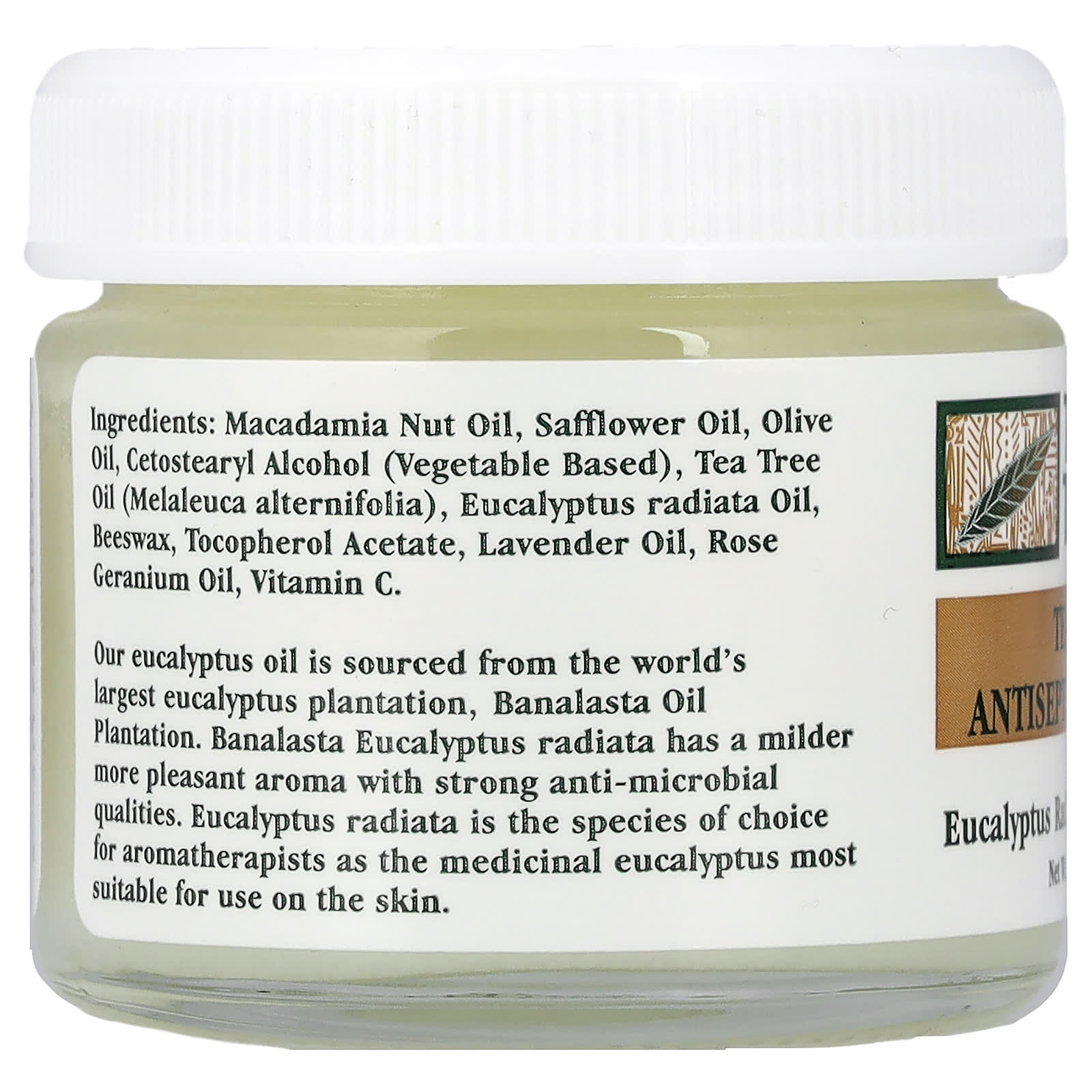 Tea Tree Therapy, Tea Tree Antiseptic Ointment, 2 oz (57 g)