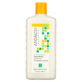 Andalou Naturals, Shampoo, Brilliant Shine, For Strength and Vitality, Sunflower & Citrus, 11.5 fl oz (340 ml)
