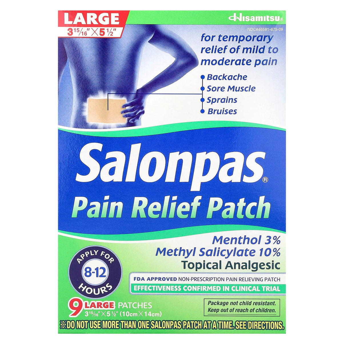 Salonpas, Pain Relief Patch, Large, Minty, 9 Patches