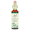 Bach, Original Flower Remedies, Holly, 0.7 fl oz (20 ml)