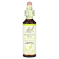 Bach, Original Flower Remedies, Chestnut Bud, 0.7 fl oz (20 ml)