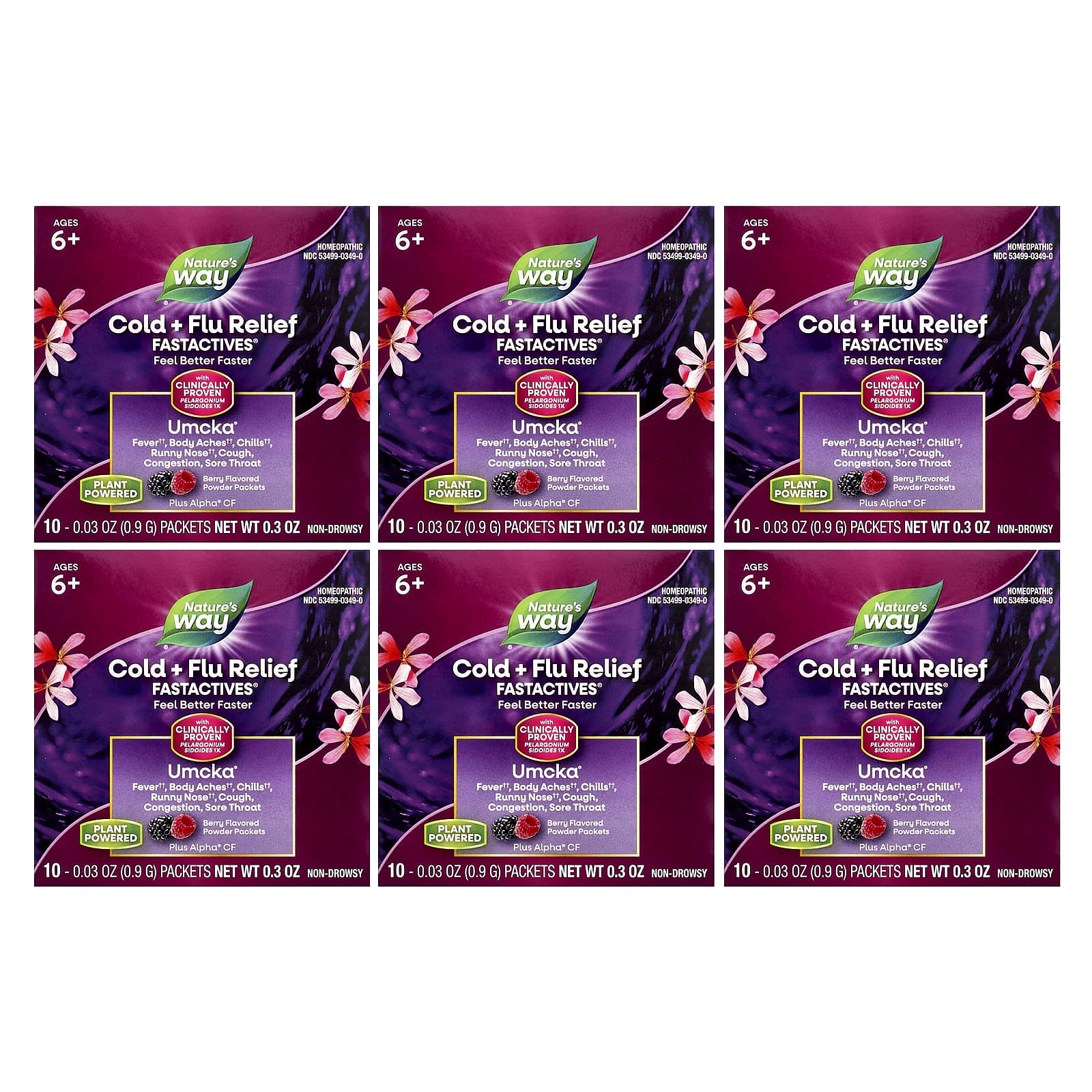 Nature's Way, Umcka®, Cold + Flu Relief, Ages 6+, Berry, 6 Boxes, 10 Packets Each