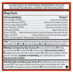 Hyland's Naturals, Prid®, Pain Relief & Irritant Drawing Salve, 0.63 oz (18 g)