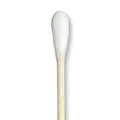 Puritan Cotton-Tipped Non-Sterile Applicators with Wood Shaft