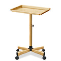 Retain Time Adjustable Aluminum Salon Tool Tray