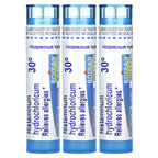 Boiron, Histaminum Hydrochloricum 30C, 3 Tubes, 80 Meltaway Pellets Each