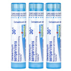 Boiron, Gelsemium, Meltaway Pellets, 30C, 3 Tubes, Approx. 80 Pellets Each