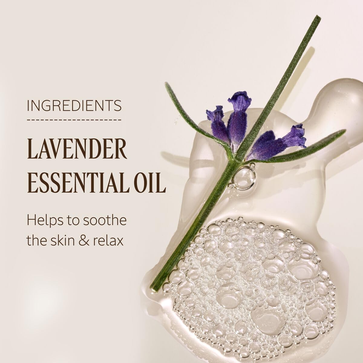 L'OCCITANE Lavender Body Lotion with Lavender Essential Oil and Shea Butter