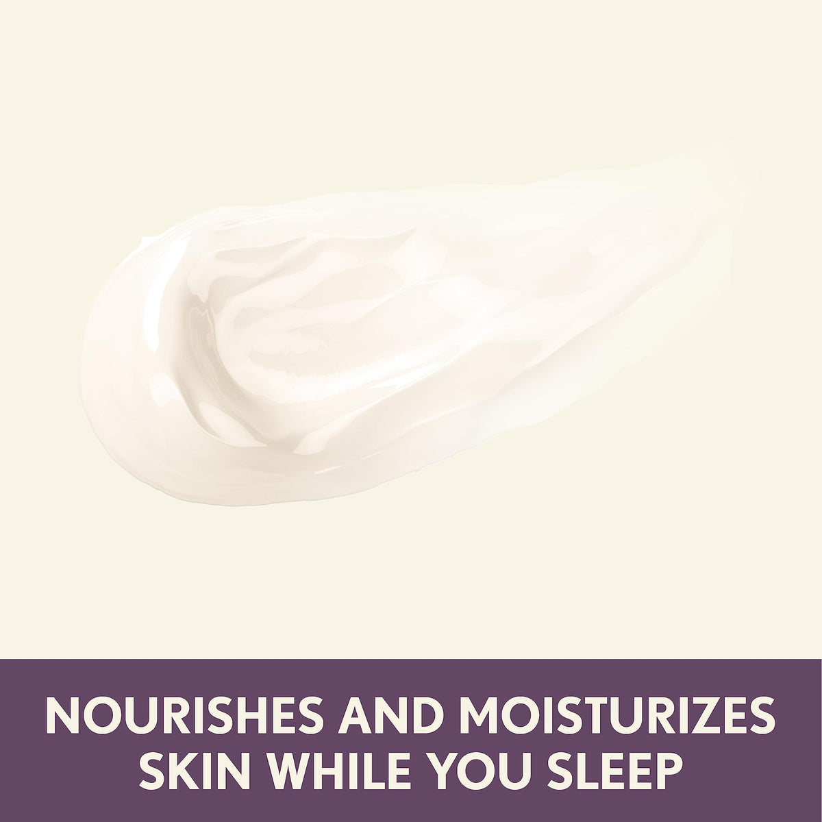 Aveeno Absolutely Ageless Restorative Night Cream with Blackberry Complex