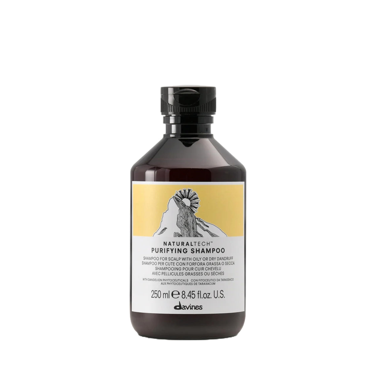 Davines Naturaltech Purifying Shampoo for Dry or Greasy Dandruff, 8.4 Fl Oz