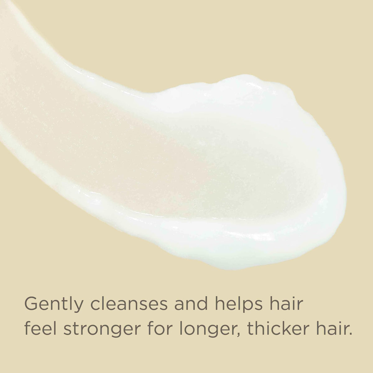 Hairitage Biotin Shampoo & Conditioner Set, Sulfate- and Paraben-Free