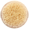 EcoTools, Dry Body Brush, 1 Brush