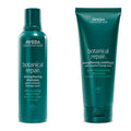 Aveda Botanical Repair Hair Care