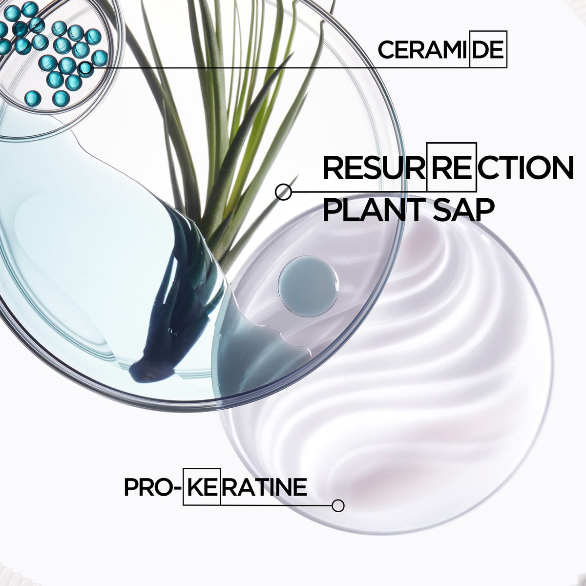 Kérastase Resistance Force Architecte Reconstructing Shampoo for Damaged Hair