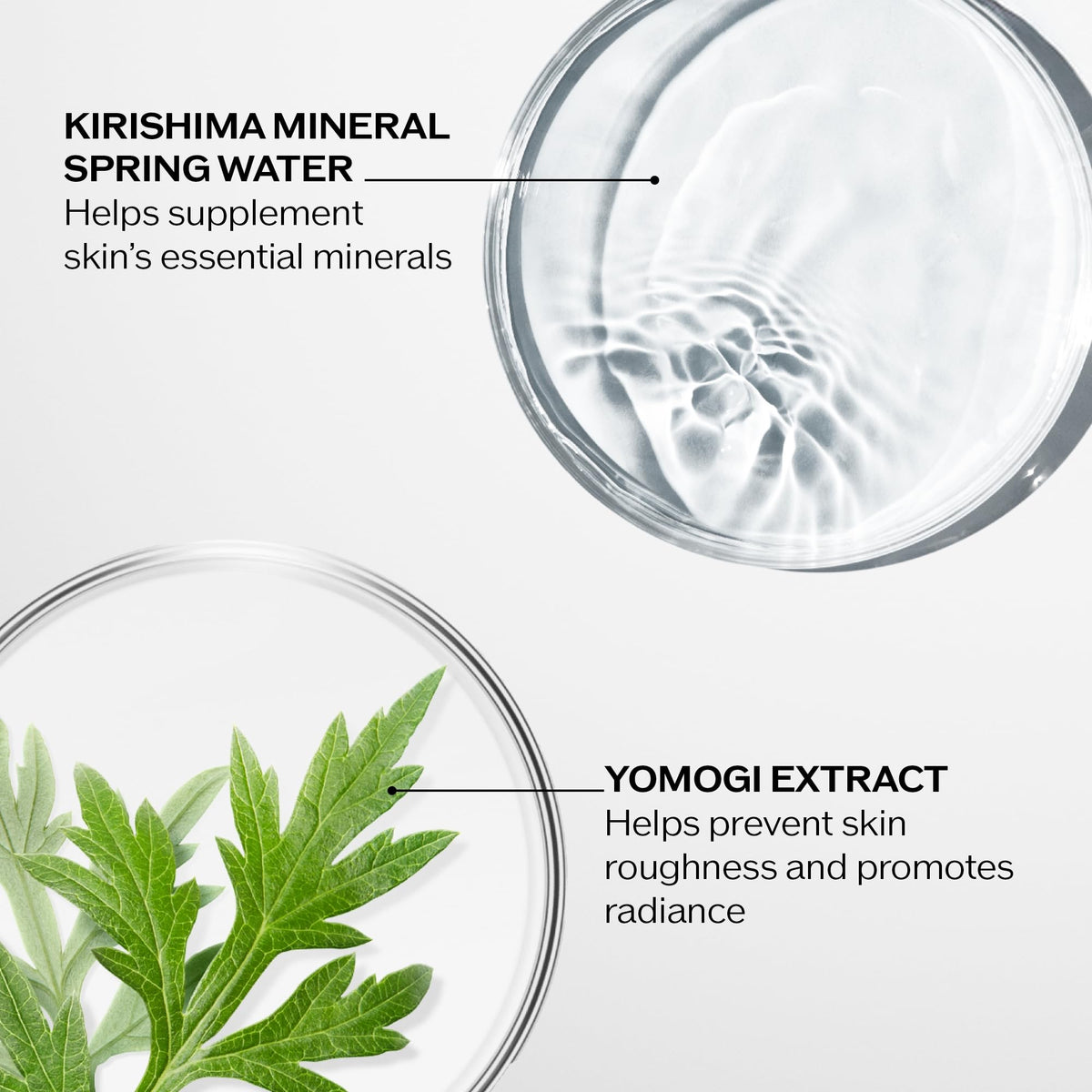 Shiseido Treatment Softener Hydrating Facial Skin Softener, 5.07 Fl Oz