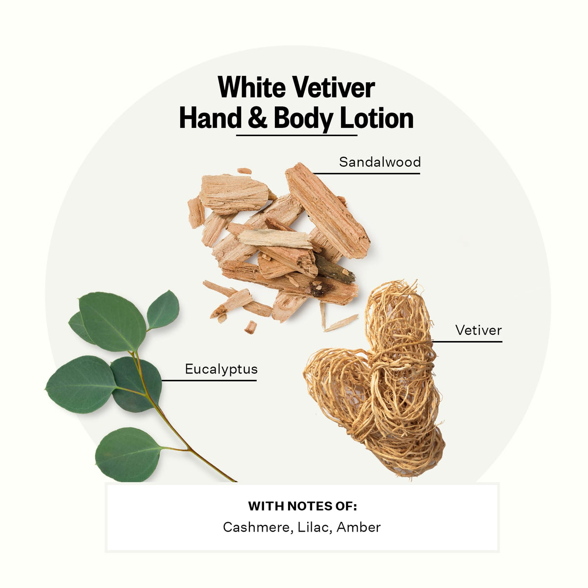 APOTHEKE Hand & Body Lotion Moisturizer, Fast-Absorbing Hydration