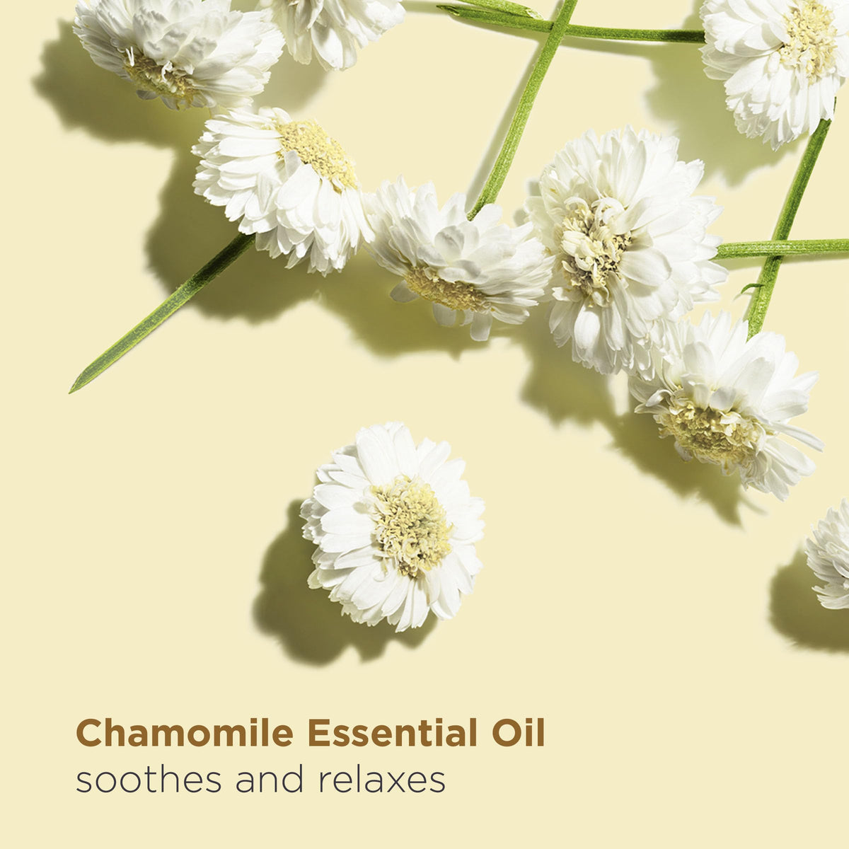 Clarins Relax Body Treatment Oil with Plant Extracts