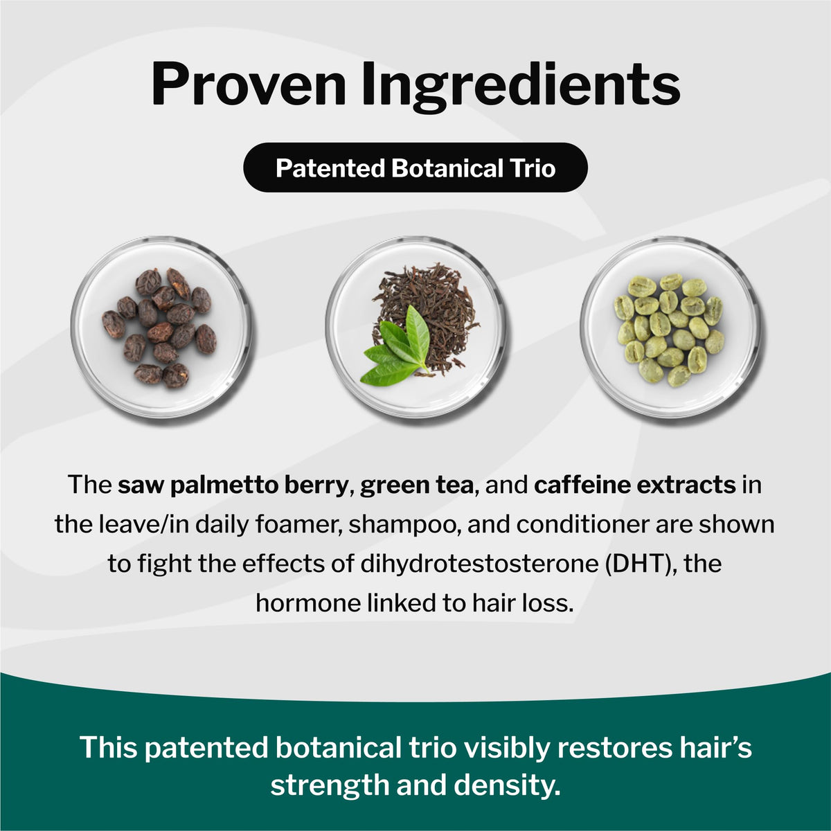 Shapiro MD DHT-Fighting Hair Loss Shampoo for Thicker-Looking Hair