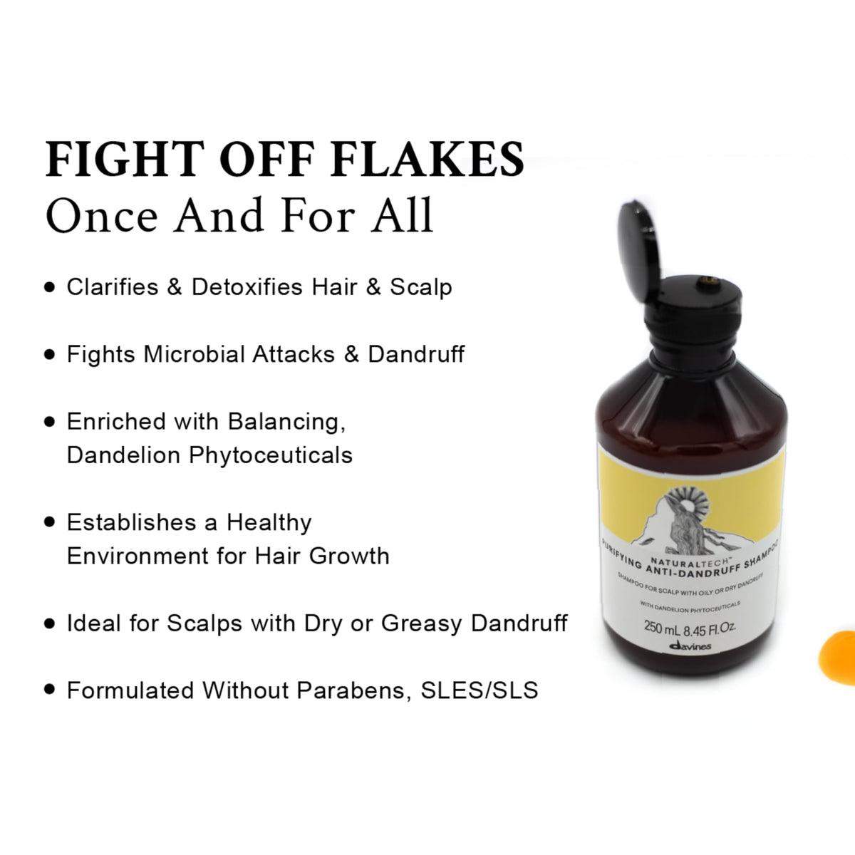 Davines Naturaltech Purifying Shampoo for Dry or Greasy Dandruff, 8.4 Fl Oz