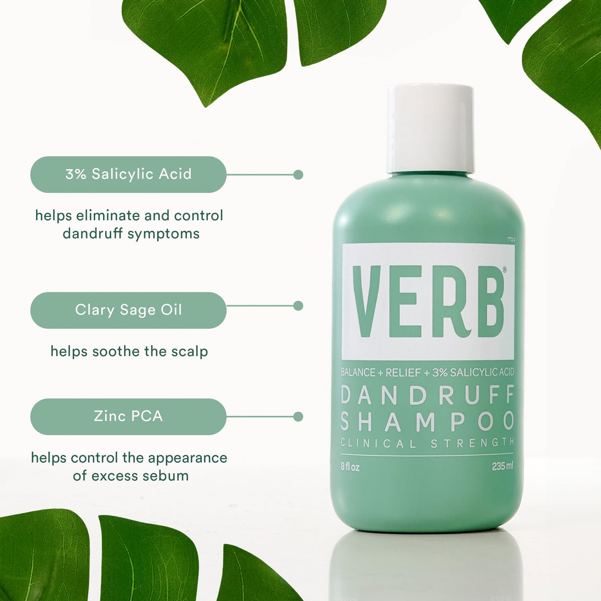 Verb Dandruff Shampoo with 3% Salicylic Acid, Magnolia + Eucalyptus