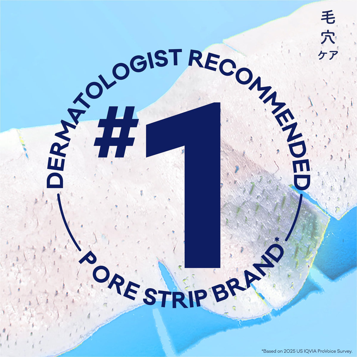 Biore Witch Hazel Deep Cleansing Blackhead Pore Strips