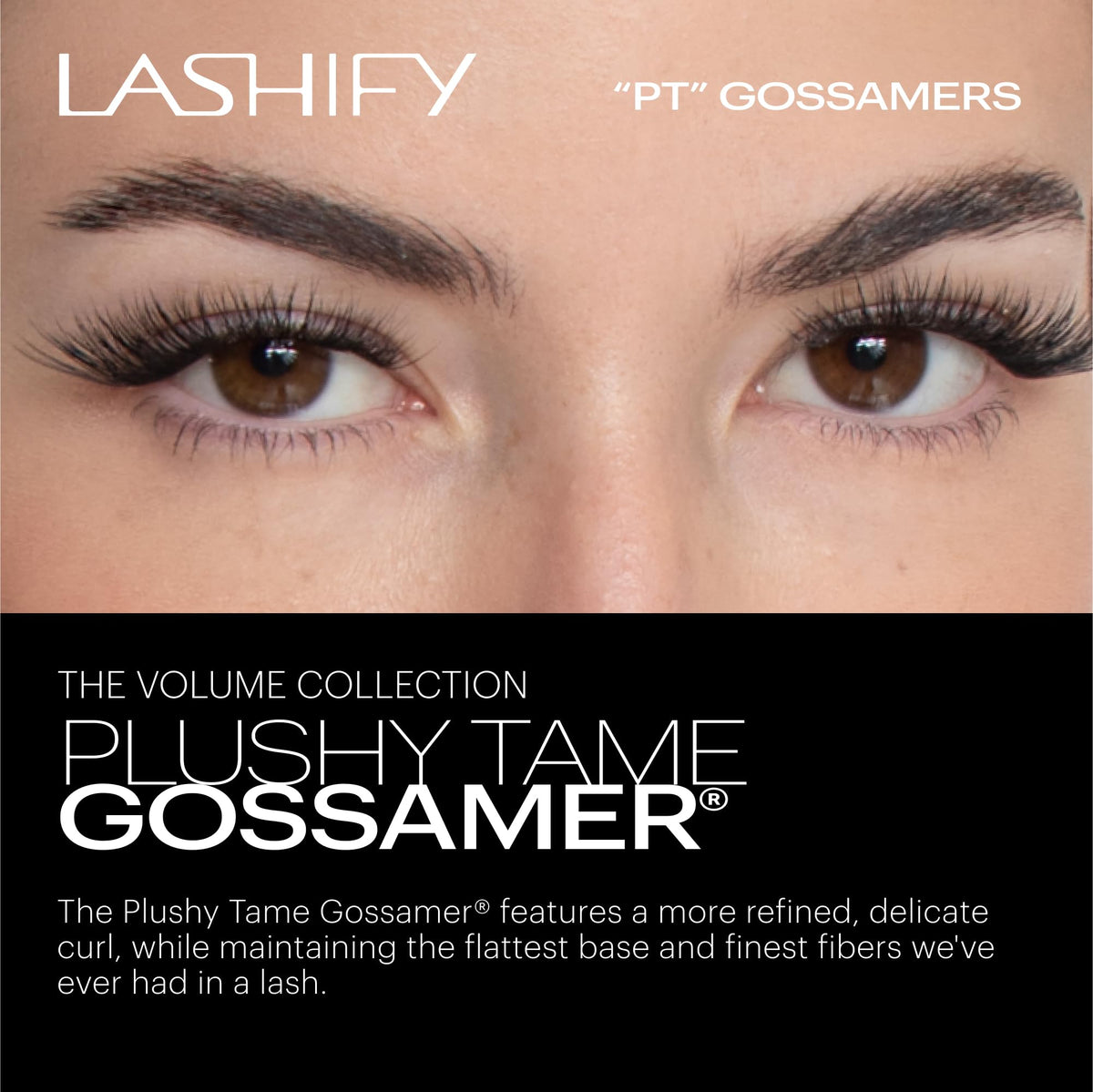 Lashify Plushy Tame Gossamer Lashes - DIY Volume Lash Style