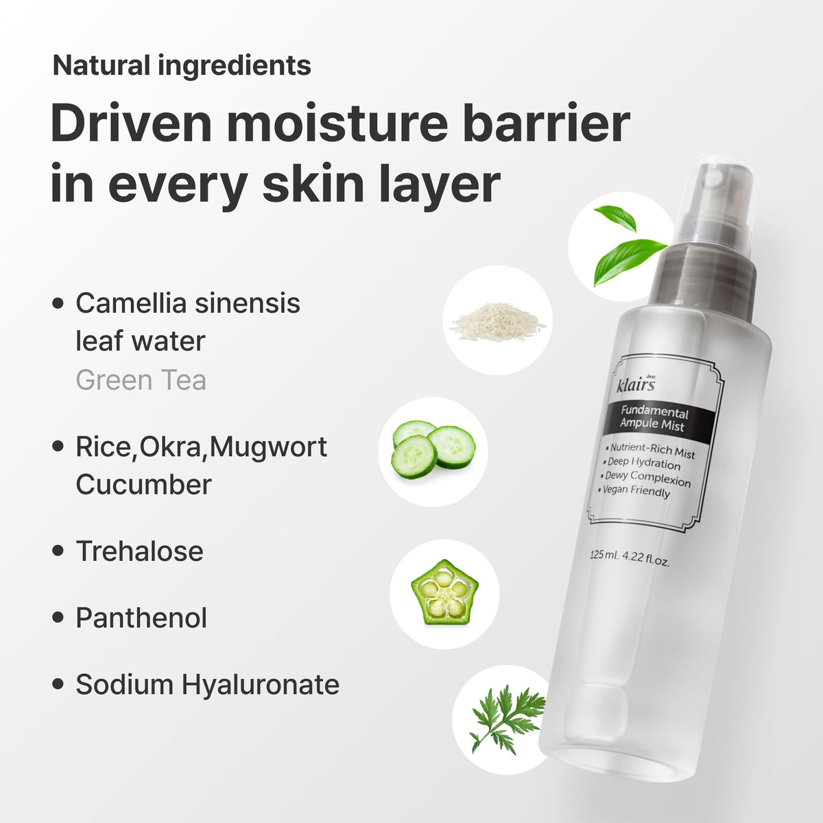 DearKlairs Green Tea Toner Mist Hydrating Face Mist, Fragrance-Free, 4.22 fl oz