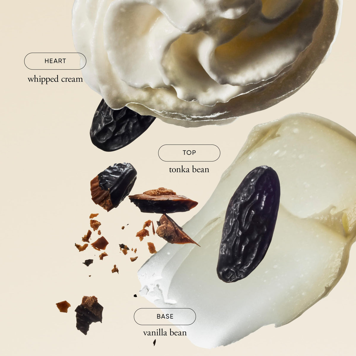 philosophy Fresh Cream Body Lotion with Vanilla, Heliotrope & Tonka Bean