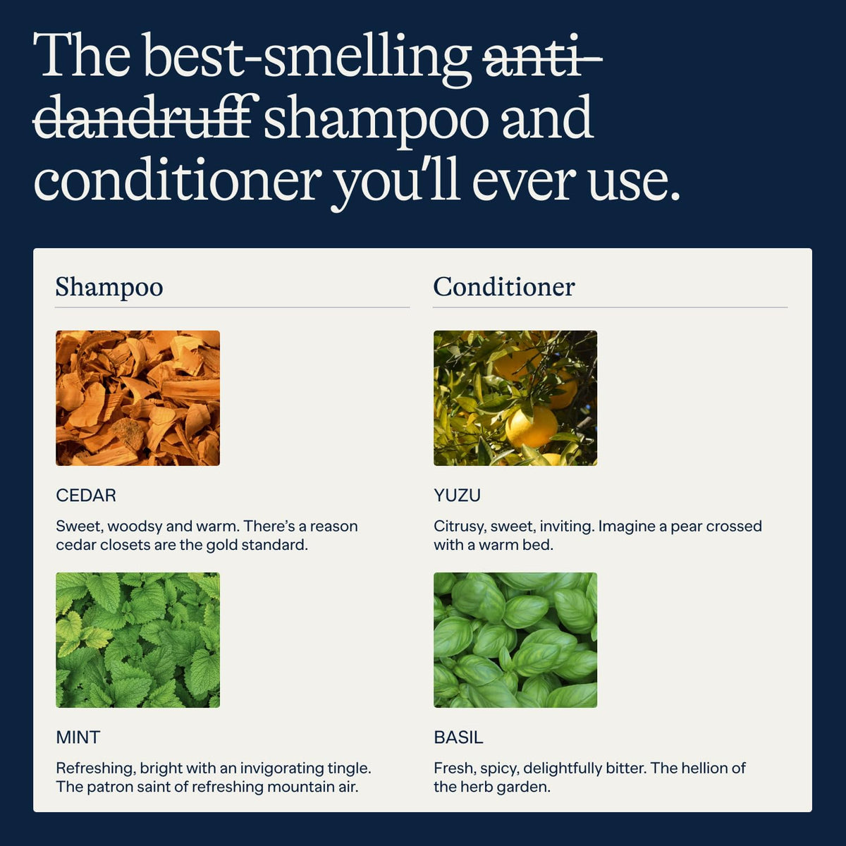 Flakes Anti-Dandruff Shampoo and Conditioner Set for Scalp Care