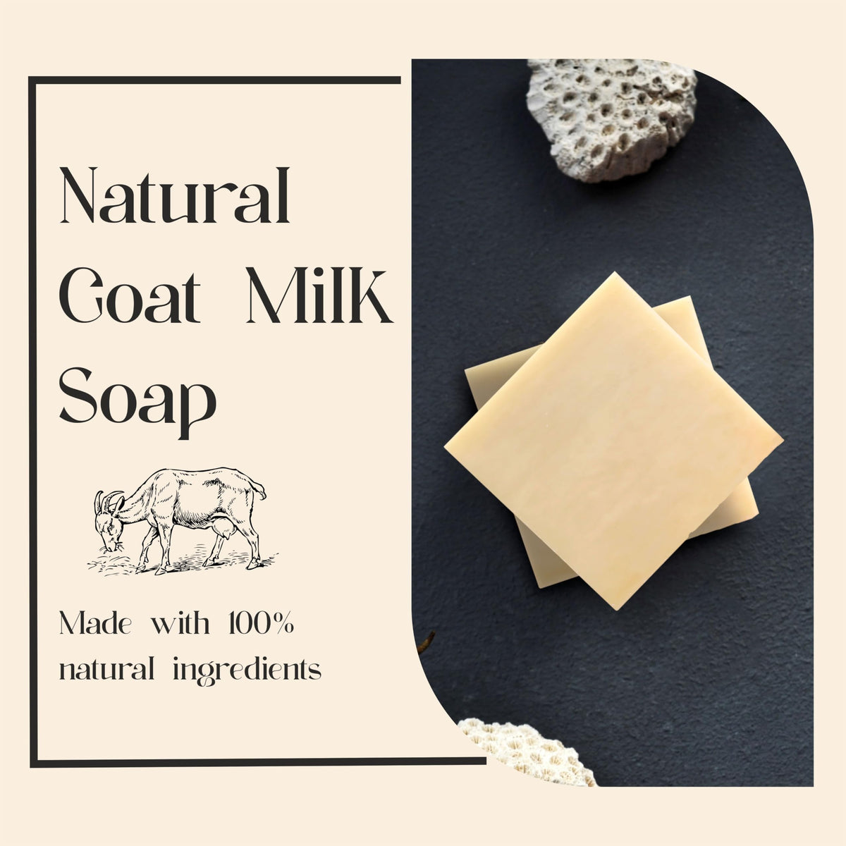 AnatoliaDaphne Natural Goat Milk Soap Bars, Handmade Moisturizing Cleanser, 12 Pack
