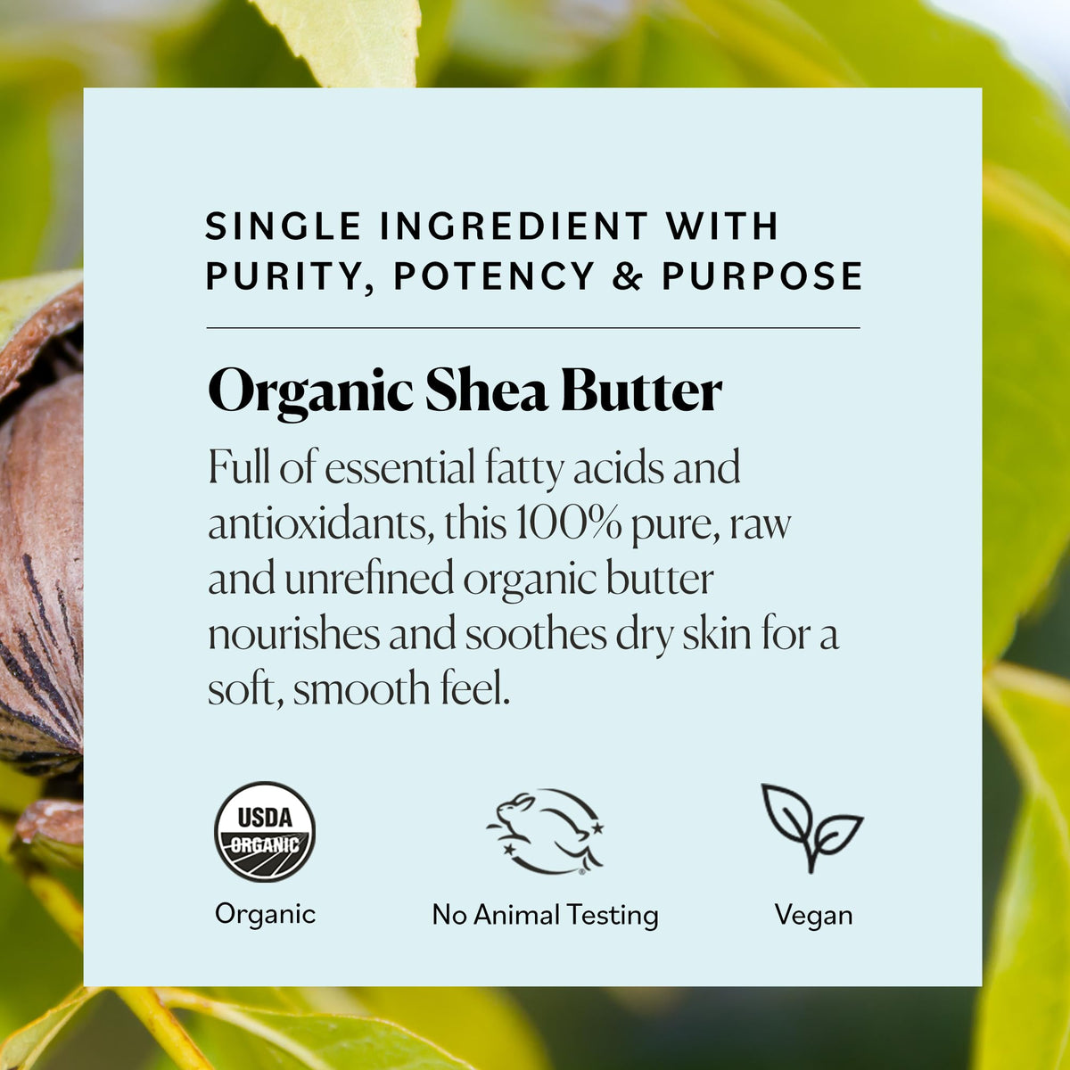 Sky Organics Shea Butter Body Butter