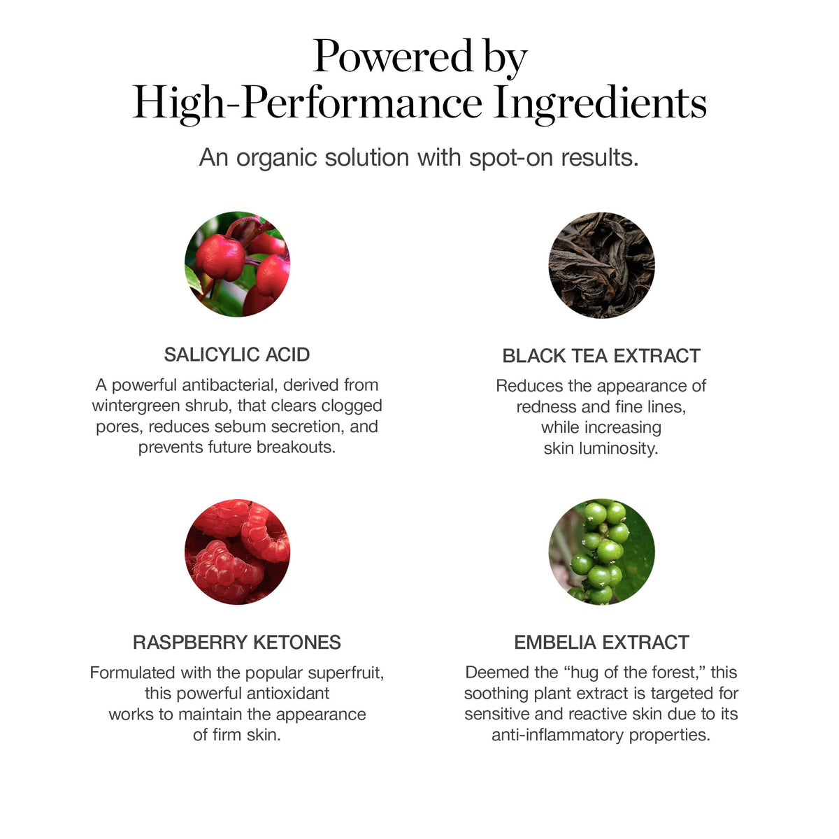 Ogee Plant-Based Salicylic Acid Acne Spot Treatment