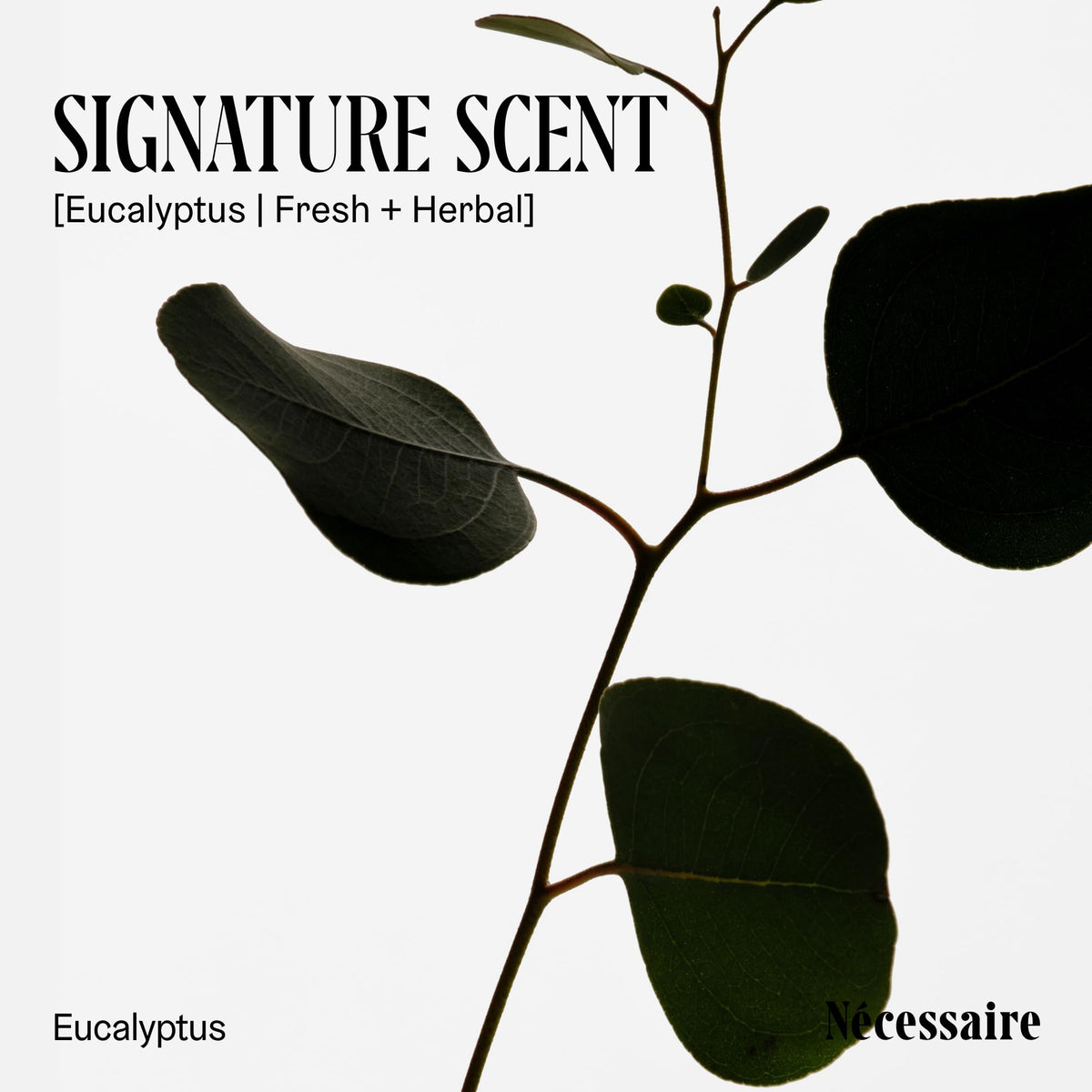 Nécessaire Eucalyptus Water Hydrating Face & Body Mist