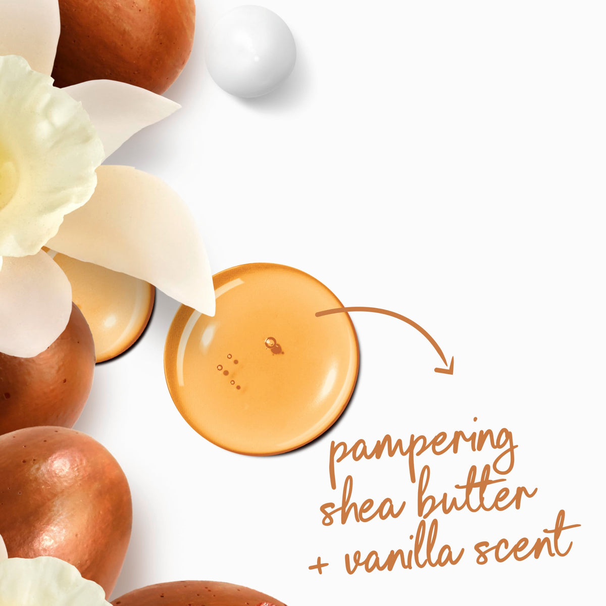 Dove Pampering Shea Butter & Vanilla Moisturizing Body Wash