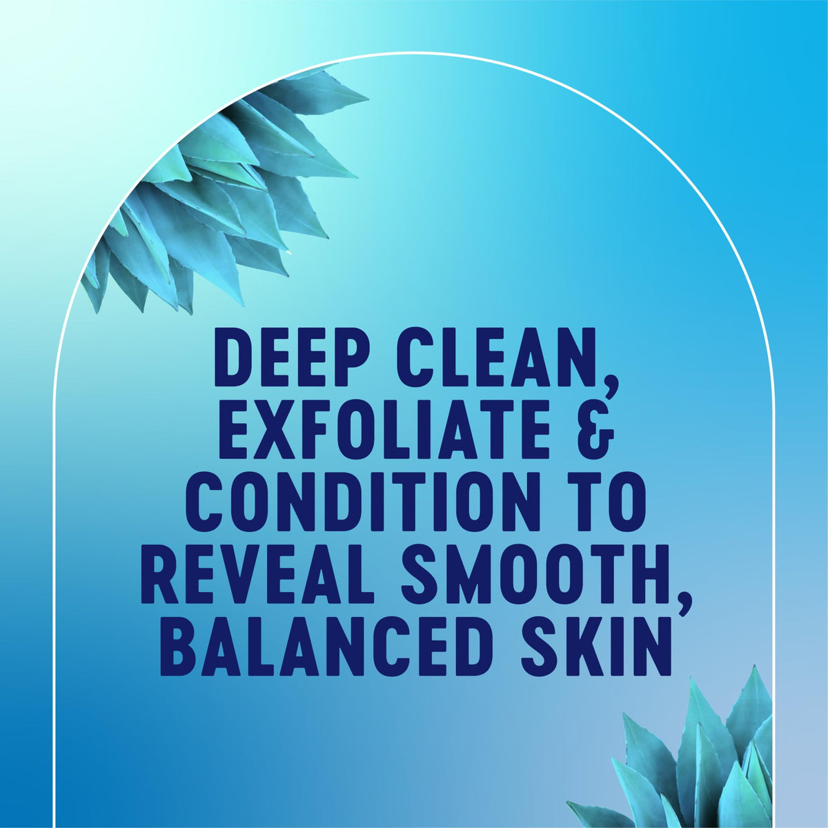 Biore Balancing Face Wash, pH Balanced Cleanser, 5 Fl Oz, Pack of 3