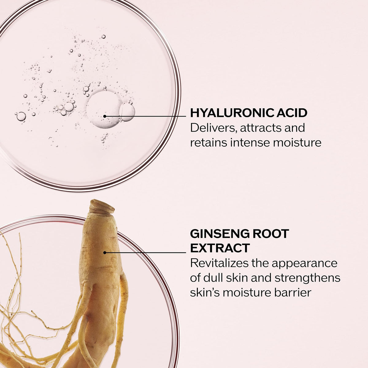 Shiseido Essential Energy Hydrating Day Cream SPF 20, 50 mL